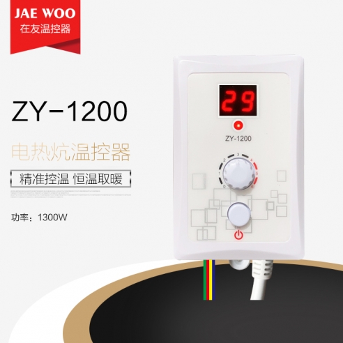 温控器ZY-1200