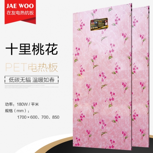 在友电热板十里桃花