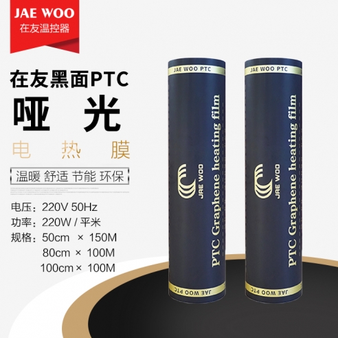 烟台在友黑面PTC哑光电热膜