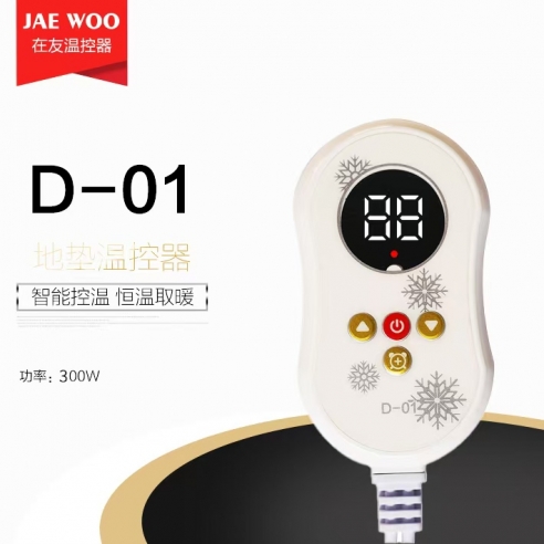 D-01