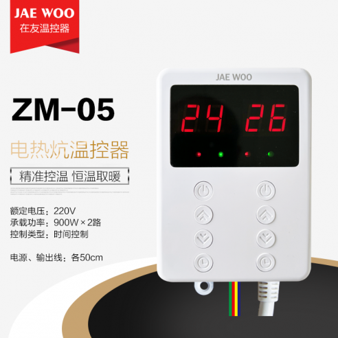 ZM05
