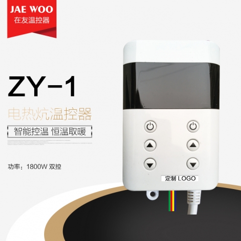 ZY-1